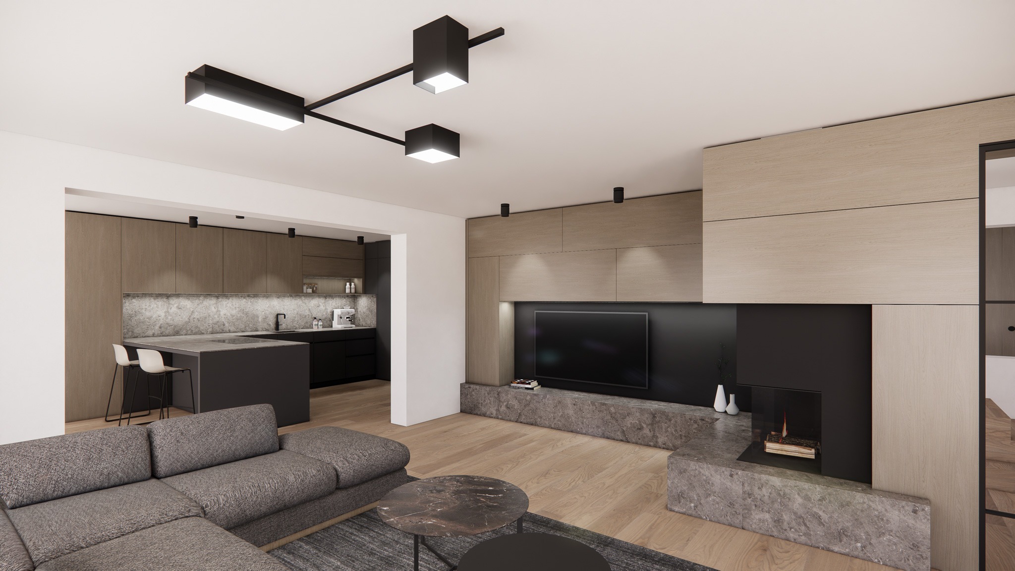 Moderne Wohnküche mit offenem Grundriss, Kamin und integriertem TV-Möbel